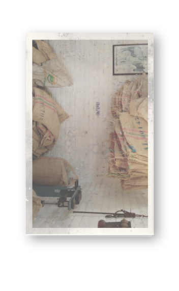 Polaroid: interior de la casa de campo