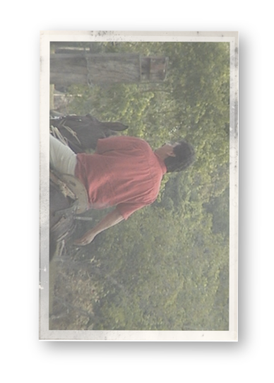 Polaroid: trabajando en el campo
