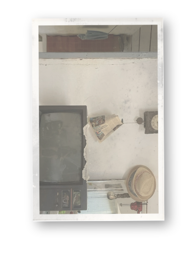Polaroid: rincón de la finca