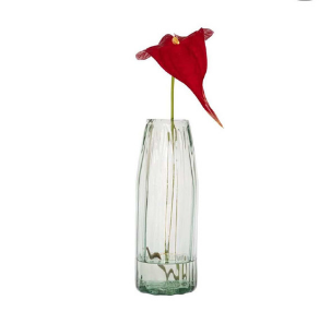 Florero con anturio rojo