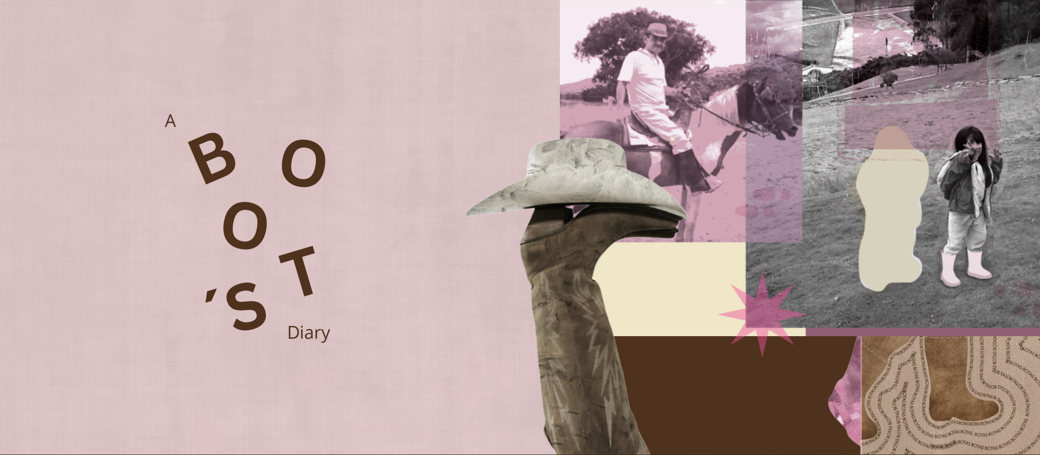 A Boot's Diary