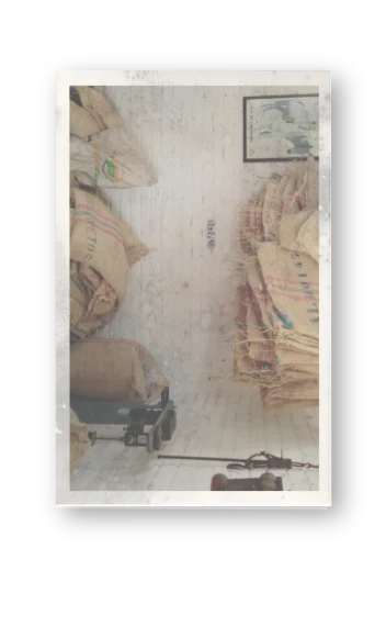 Polaroid: interior de la casa de campo