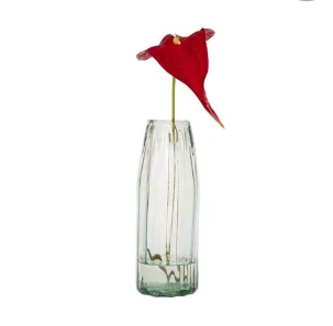 Florero con anturio rojo